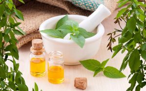 naturopathie outils gemmotherapie consultation découverte phytothérapie les andelys julie clouet approche holistique humaniste global