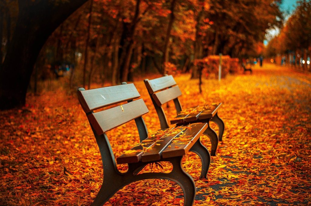 automne reflexologie changement