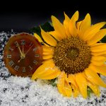 Changement d'heure hiver passage jetlag décalage horaire
